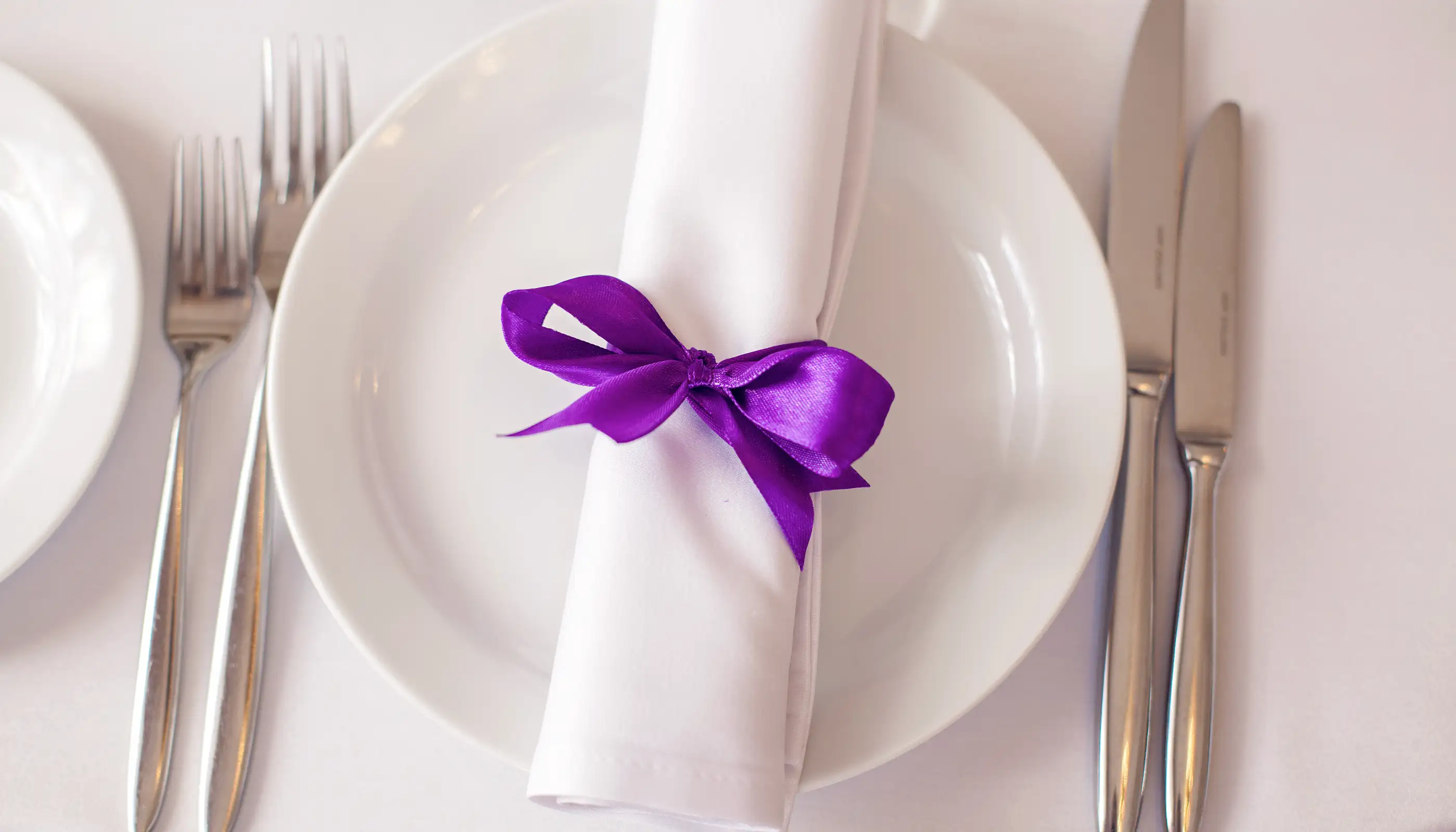 Quality napkins to rent for weddings and other events